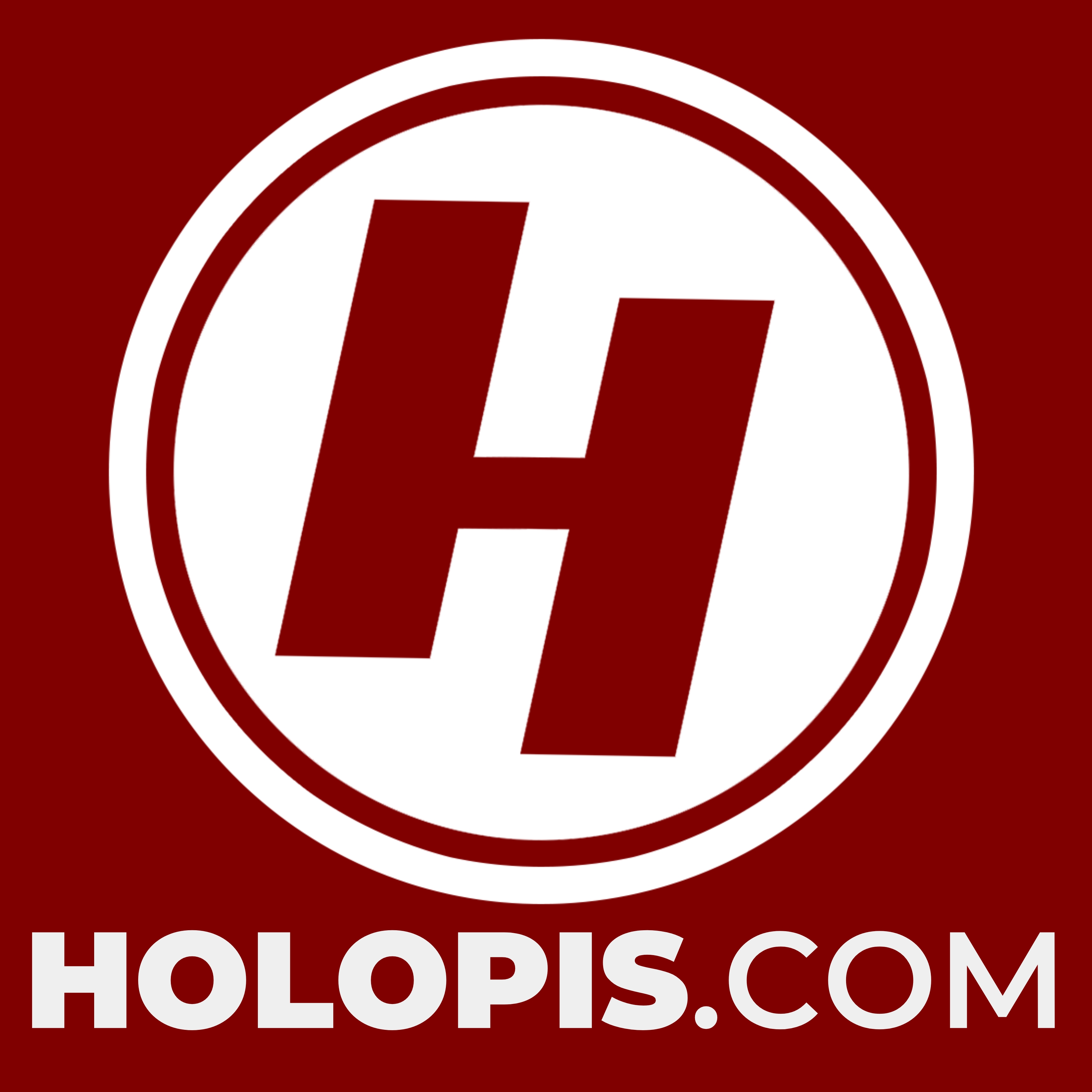 Media 17 Holopis logo